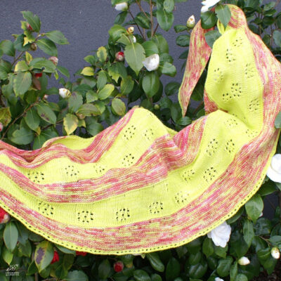 Patron du Châle Camélia (PDF)